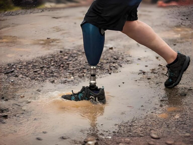 imgi_27_24-530-image1